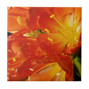 Orange Blommor Kakelplatta