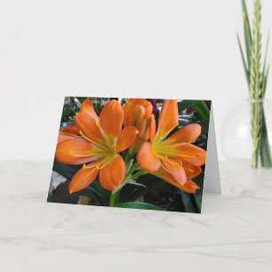 Orange blommor kort