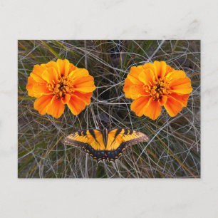 Orange blommor och Gult-fjäril Helg Vykort