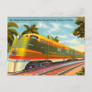 Orange Blossom Special Apelsinlundar i Florida Vykort