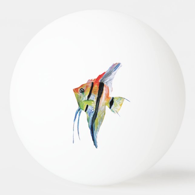 Orange Blue Fish One Star Ping Pong Boll (Framsidan)