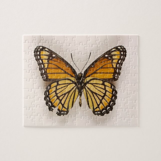 Orange Brown Winged Butterfly Puzzle Pussel (Horisontell)