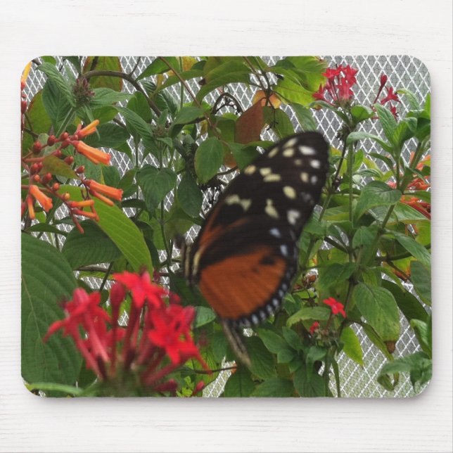 ORANGE BUTTERFÄRDIGT MUSMATTA (Framsidan)