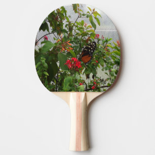 ORANGE BUTTERFÄRDIGT PINGISRACKET
