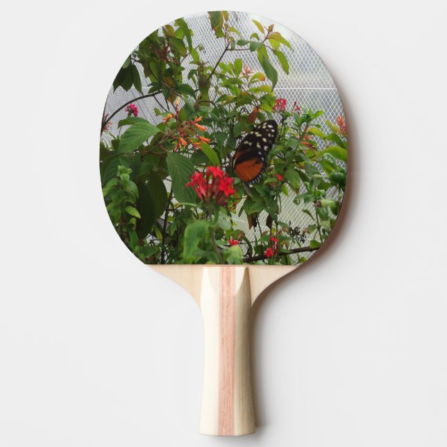 ORANGE BUTTERFÄRDIGT PINGISRACKET (Framsidan)