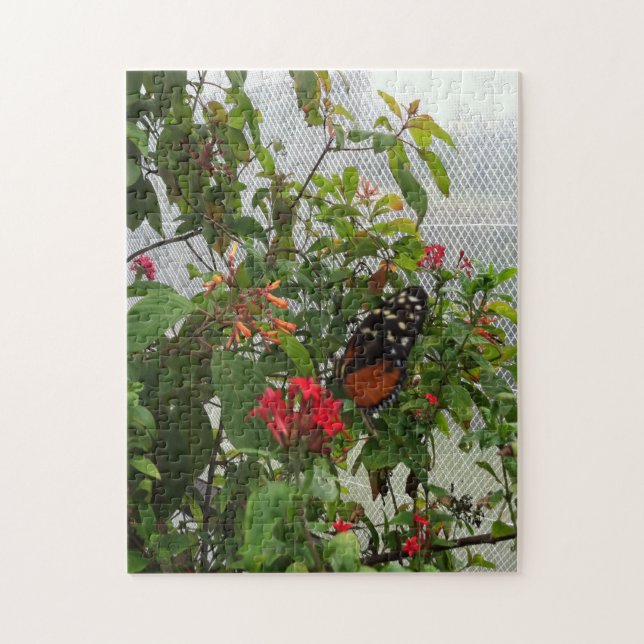 ORANGE BUTTERFÄRDIGT PUSSEL (Vertikal)