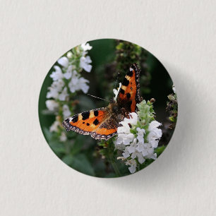 Orange Butterfly and White Blommars Knapp