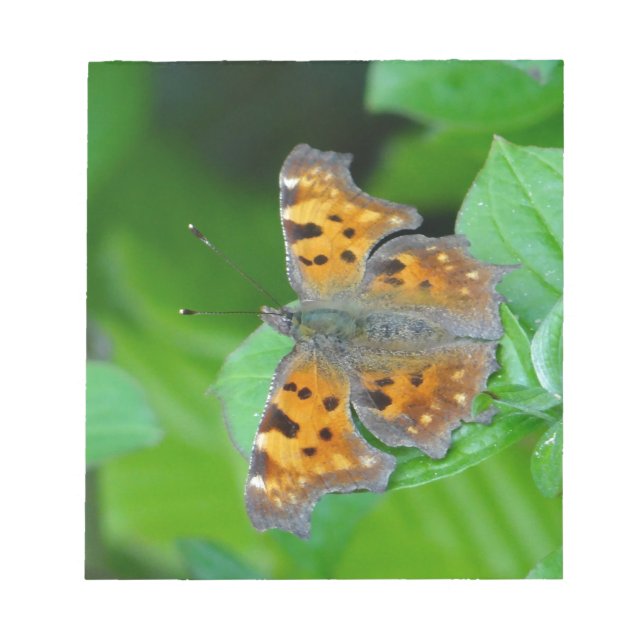 Orange Butterfly Anteckningsblock (Framsida)