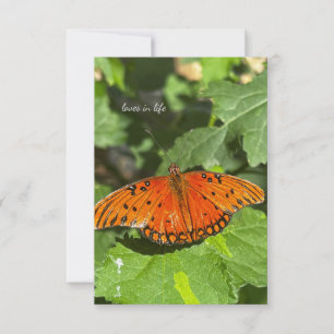 Orange Butterfly Anteckningskort