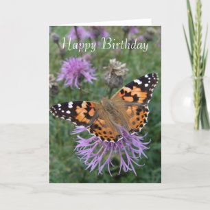 Orange Butterfly Birthday Card Kort