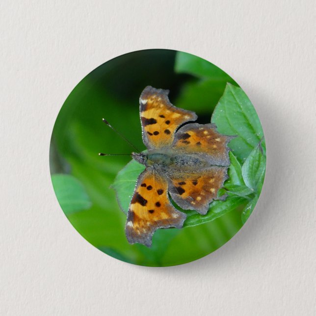 Orange Butterfly Knapp (Framsida)