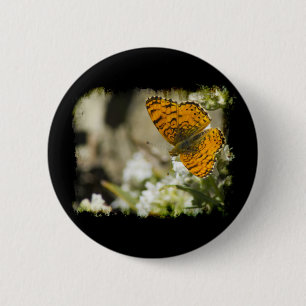 Orange Butterfly Knapp
