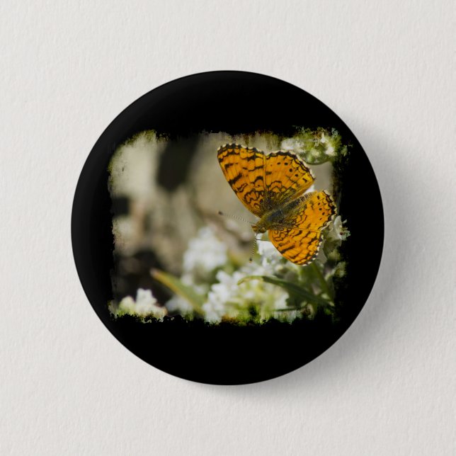 Orange Butterfly Knapp (Framsida)