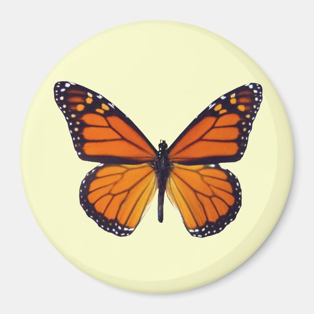 Orange Butterfly Magnet (Framsidan)