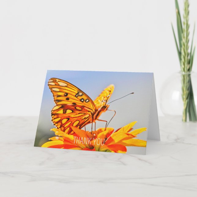 Orange Butterfly Matar Tack Kort (Framsida)