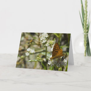 Orange Butterfly och Bee Kort