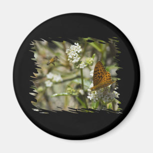 Orange Butterfly och Bee Magnet