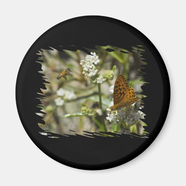Orange Butterfly och Bee Magnet (Framsidan)