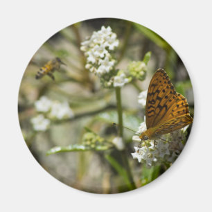 Orange Butterfly och Bee Magnet
