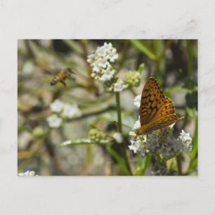 Orange Butterfly och Bee Vykort