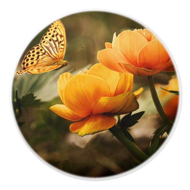 Orange Butterfly och Flowers Knopp (Framsidan)