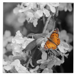 Orange Butterfly On Apple Blommar Ceramic Tile Kakelplatta