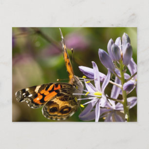 Orange Butterfly på Vild Hyacinth Apparatur & Gift Vykort