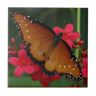 Orange Butterfly-panel Kakelplatta