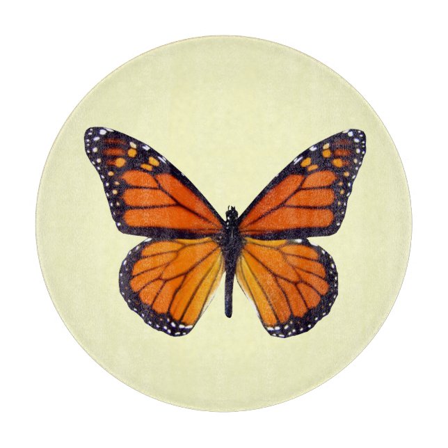 Orange-Butterfly-skärningspunkt (Framsidan)