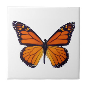 Orange Butterfly Tile Kakelplatta