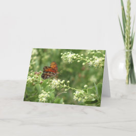 Orange Butterfly Tillfällen Blank Hälsning Kort