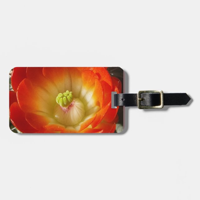 Orange-Cactus-blomma Bagagebricka (Horisontell Framsida)