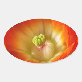 Orange-Cactus-blomma Ovalt Klistermärke