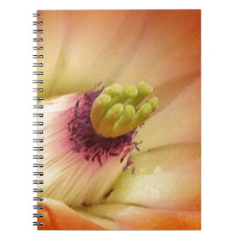 Orange Cactus Flower Anteckningsbok Med Spiral