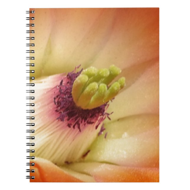 Orange Cactus Flower Anteckningsbok Med Spiral (Framsidan)
