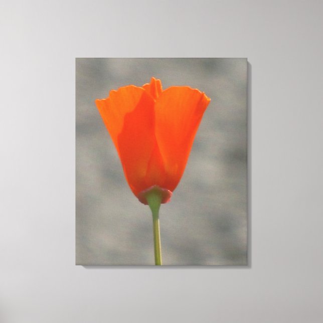 Orange California Flower Canvastryck (Framsida)