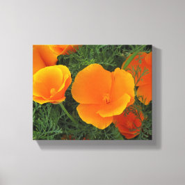 Orange California Flowers Canvastryck