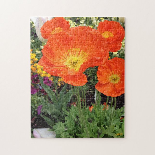 Orange California Poppies Puzzle by Darin Jones Pussel (Vertikal)