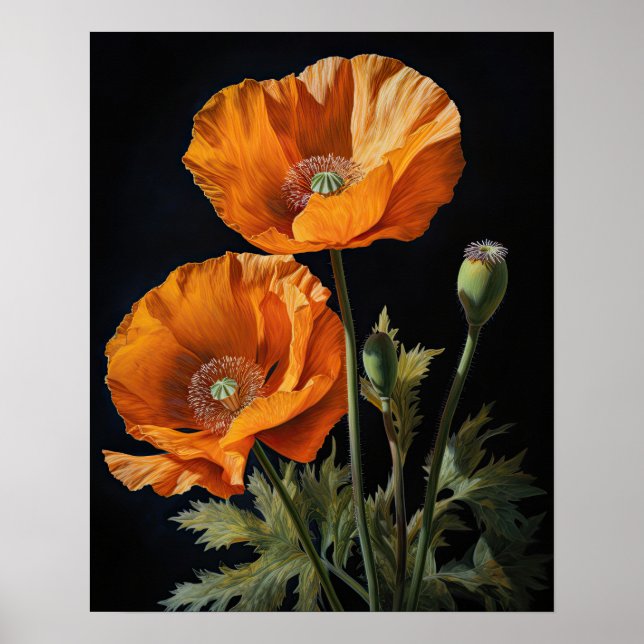 Orange California Poppy Flowers Art Print Poster (Framsidan)