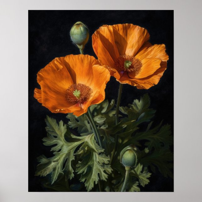Orange California Poppy Flowers Art Print Poster (Framsidan)
