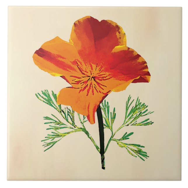 Orange California Poppy Kakelplatta (Framsidan)