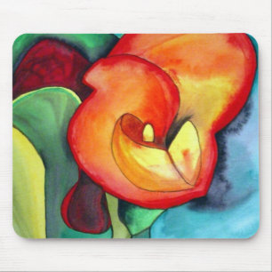 Orange Canna liljablomma Musmatta