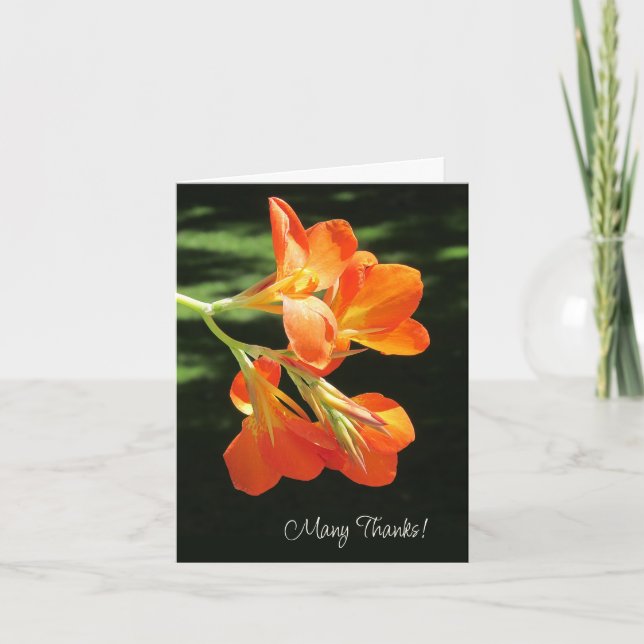 Orange Canna Lily Blank - tackkort Anteckningskort (Framsida)
