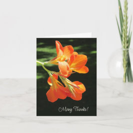 Orange Canna Lily Blank - tackkort Anteckningskort