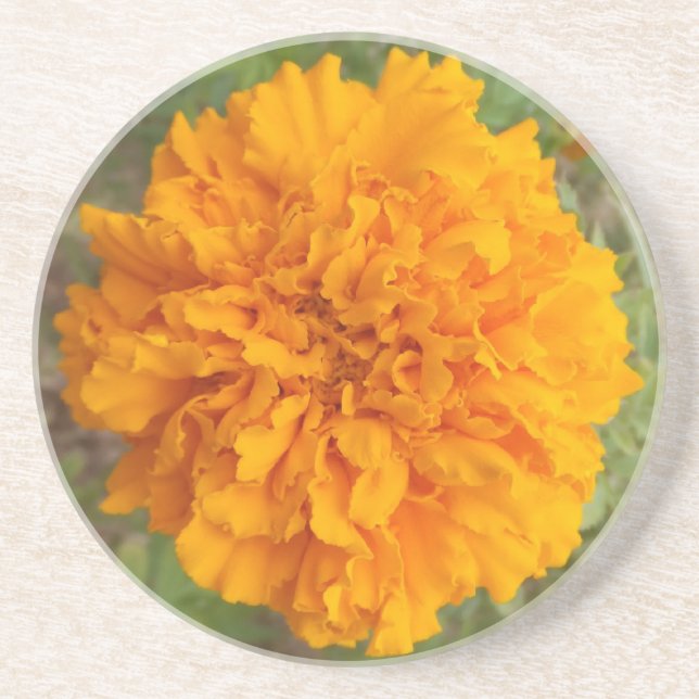 Orange Carnation underlägg (Framsidan)