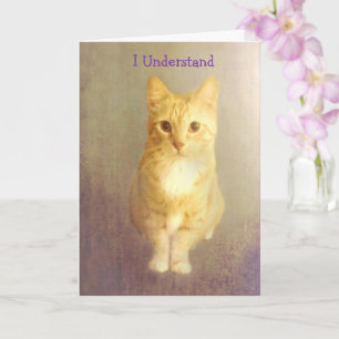 Orange Cat Cancer Encouragement Kort