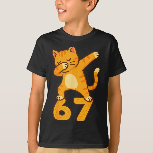 Orange Cat Dabbing Funny 67 Six Seven Meme  T Shirt (Framsida)