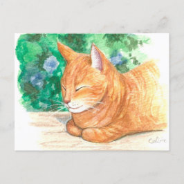 "Orange Cat Relaxing." vykort