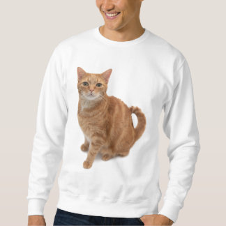 Orange Cat Ständiga Lång Ärmad Tröja