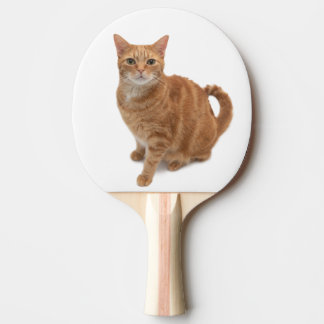 Orange Cat Ständiga Pingisracket